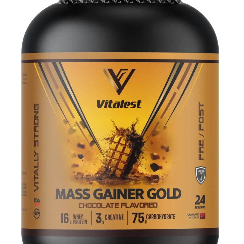 Mass Gainer 2400G. Karbonhidrat Tozu 24 Servis ÇİKOLATA